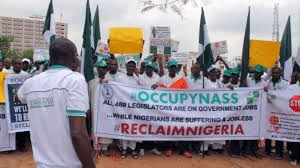 Angry protesters at NASS