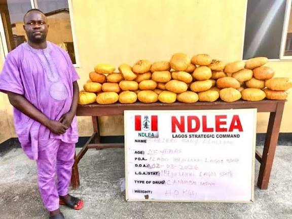 NDLEA Arrests Ex-Lagos Council Chief, Recovers Illicit Drugs