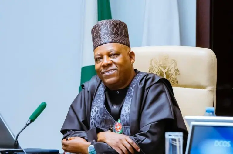 Easter: Present Difficulties Are Temporary, Shettima Assures Nigerians