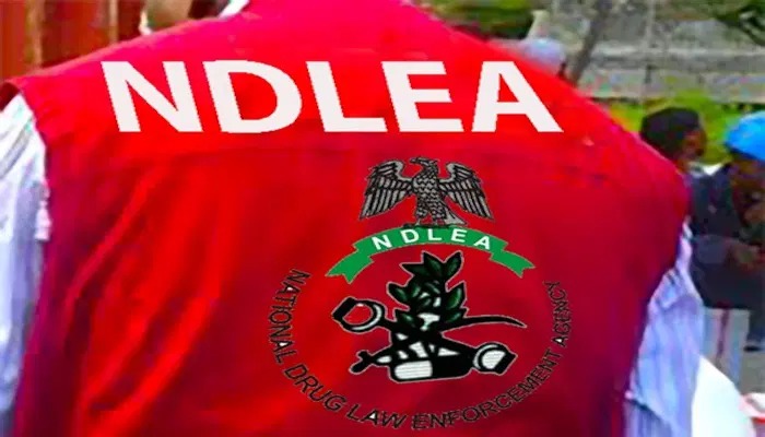 NDLEA Raises Alarm Over Mexican -Linked Criminal Networks In Ogun, Oyo Forests